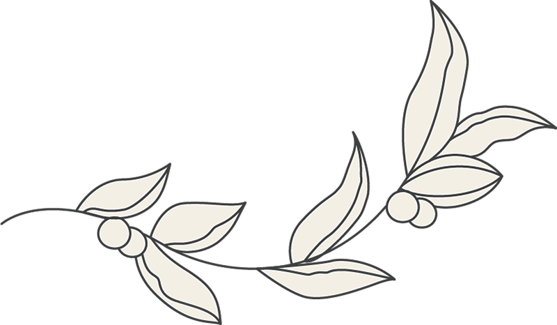 Beauty Esthetician 43